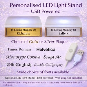 Placa personalizada con soporte de luz LED de madera para exhibición.