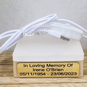 Espositore luminoso a LED in legno con targa personalizzata.