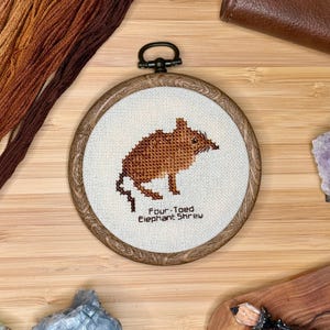 May include: A cross-stitch embroidery of a Four-Toed Elephant Shrew in a round wooden hoop. The shrew is brown, with a long snout and tail. The text "Four-Toed Elephant Shrew" is below the image. The background includes brown embroidery floss and a leather wallet.