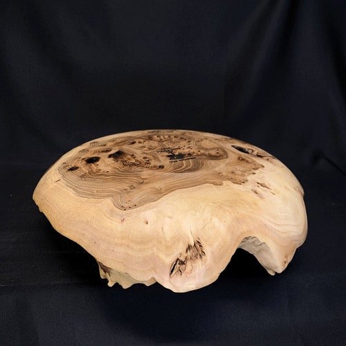 Siberian shops Elm Bowl