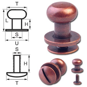 Rivetti a bottone 8 MM chiusura tasca cartuccia Bottoni tasca accetta rame antico