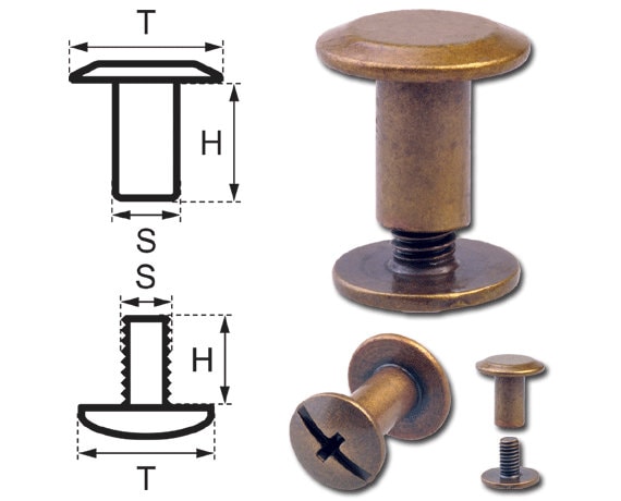 Hoppe /& Masztalerz 25 Schraubnieten G/ürtelschrauben Buchschrauben Chicagoschrauben Nieten Zum Schrauben 3MM Messing-gl/änzend