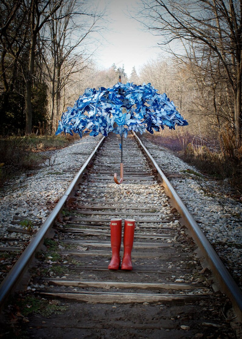 Butterfly Umbrella photo print image 1