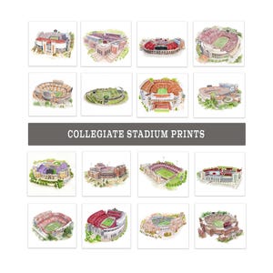 May include: A collection of watercolor prints featuring various collegiate stadiums. Each print showcases a detailed architectural rendering of the stadiums, with vibrant colors and lush green fields. The prints are arranged on a white background, with the text "COLLEGIATE STADIUM PRINTS" displayed.