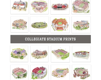 College Football Stadium Artwork Graduation Gift Stadium Watercolor Keepsake College Football Office Decor Dorm Football Stadium Artwork