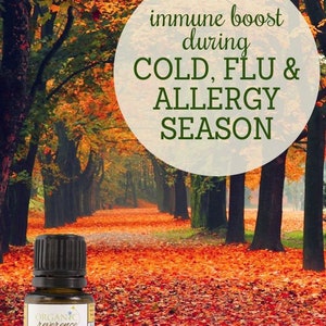 May include: A brown glass bottle with a black cap and a white label that reads "ORGANIC reverence FALL IMMUNE BOOST Essential Oil Blend Allergies Stress Anxiety Emotional & Mental Fatigue Immune Strengthening Respiratory Support Airborn Antiseptic Pure, Organic, Therapeutic & Eco-Friendly 15ml/ .5oz". The bottle is sitting on a bed of red and orange leaves in a forest setting. The text "immune boost during COLD, FLU & ALLERGY SEASON" is superimposed on the image.
