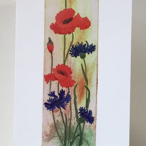 Poppy & Cornflower