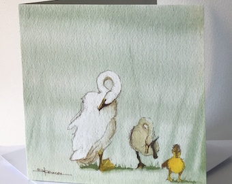 Whooper Swan