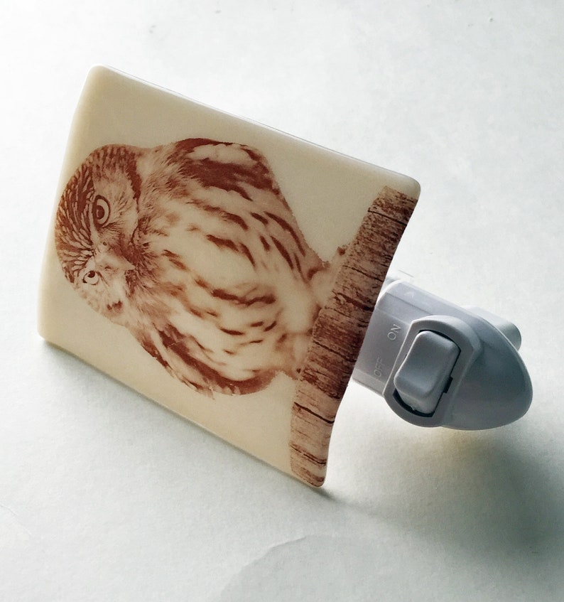 Burrowing Owl Fused Glass Nigh Light