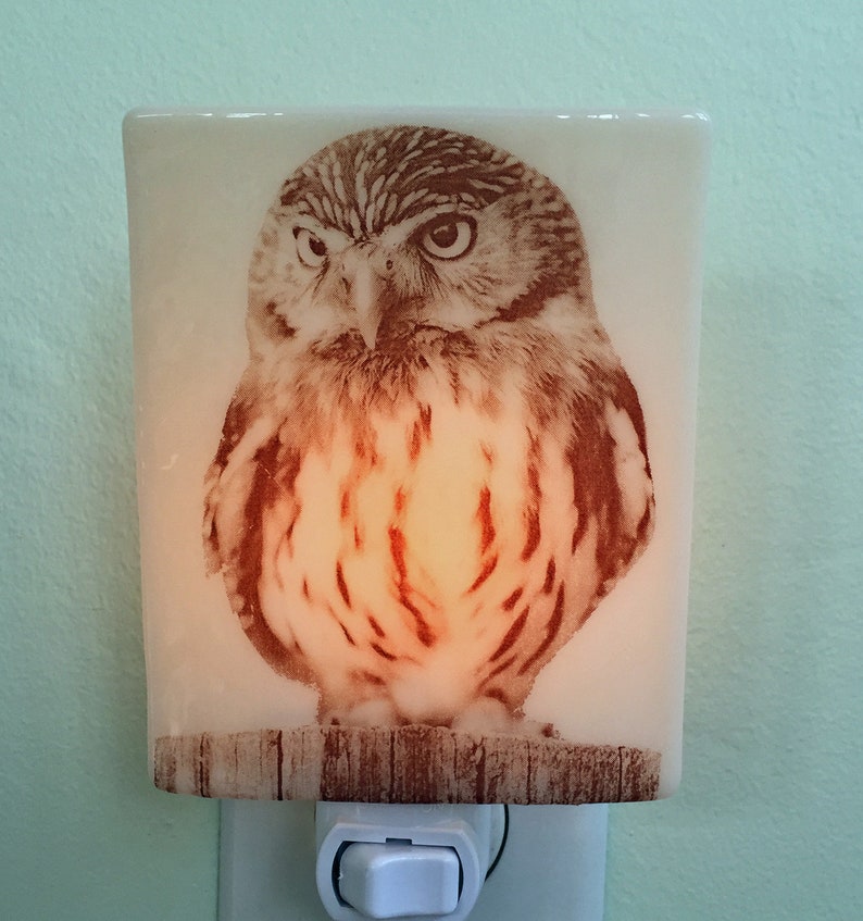 Burrowing Owl Fused Glass Nigh Light