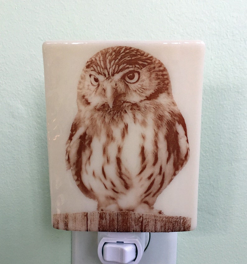 Burrowing Owl Fused Glass Nigh Light
