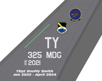 F-35 325FW Tyndall AFB aircraft tail flash panel
