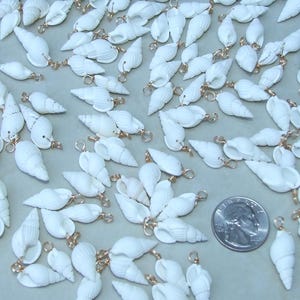 May include: A large group of white seashells with gold-colored metal loops. The shells are arranged in a random pattern on a light gray surface. A US quarter is included for scale.