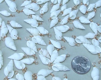 May include: A large group of white seashells with gold-colored metal loops. The shells are arranged in a random pattern on a light gray surface. A US quarter is included for scale.