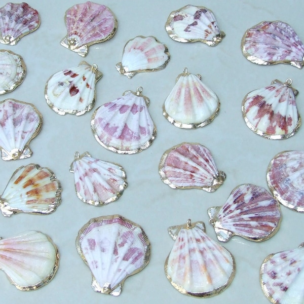 Natural Scallop Shell Pendant, Gold Edge Loop, Natural Seashell, Deep Sea, Shell Necklace, Beach Jewelry, Ocean Seashell, 35-45mm, 75-01