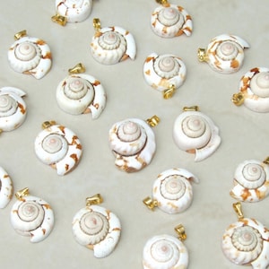 Puede incluir: Una colección de 18 colgantes de conchas blancas con detalles dorados. Las conchas están dispuestas en un patrón aleatorio sobre una superficie blanca.