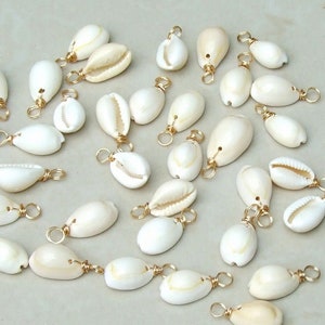 May include: A collection of white cowrie shells with gold jump rings. The shells are arranged on a white surface.