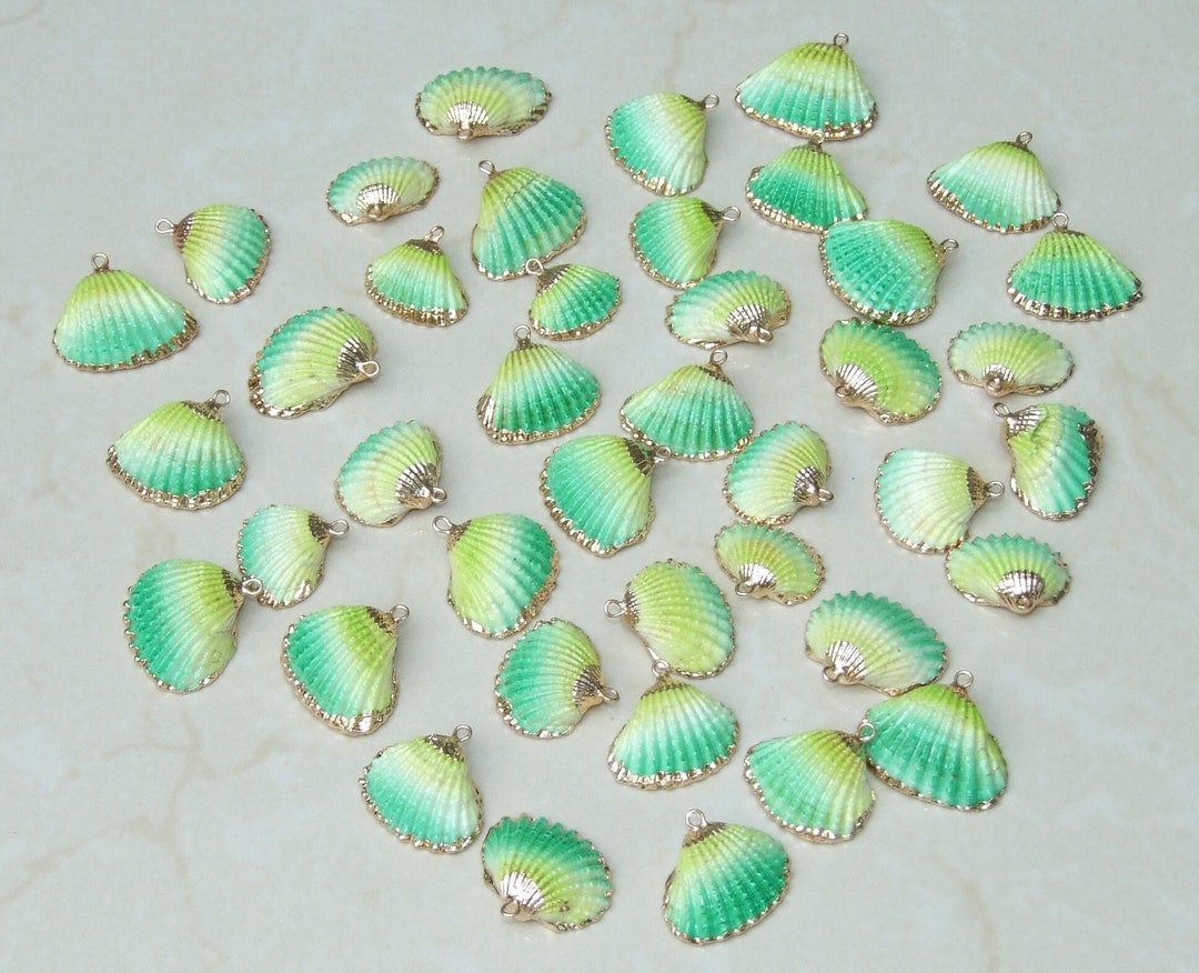 Small Gold Edge Natural Seashell, Sea Shell Pendant, Clam Shell, Shell ...