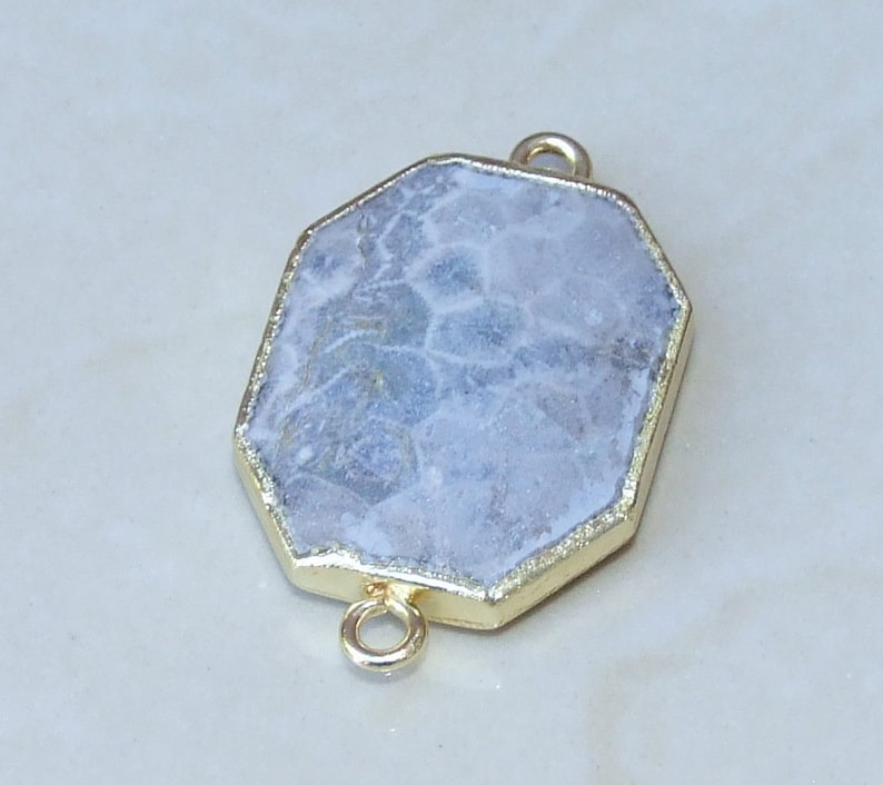 Gold Edge 24mm x 31mm Fossil Agate Beads 7683 Fossil Coral Connector Faceted Fossilized Coral Gemstone Pendant Coral Pendant