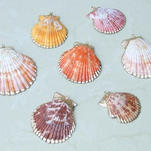 Hand Color Washed Scallop Shell Pendant, Gold Edge, Natural Seashell, Seashell Necklace, Beach Jewelry Ocean Seashell 36, 45, 55, 65mm 62-31