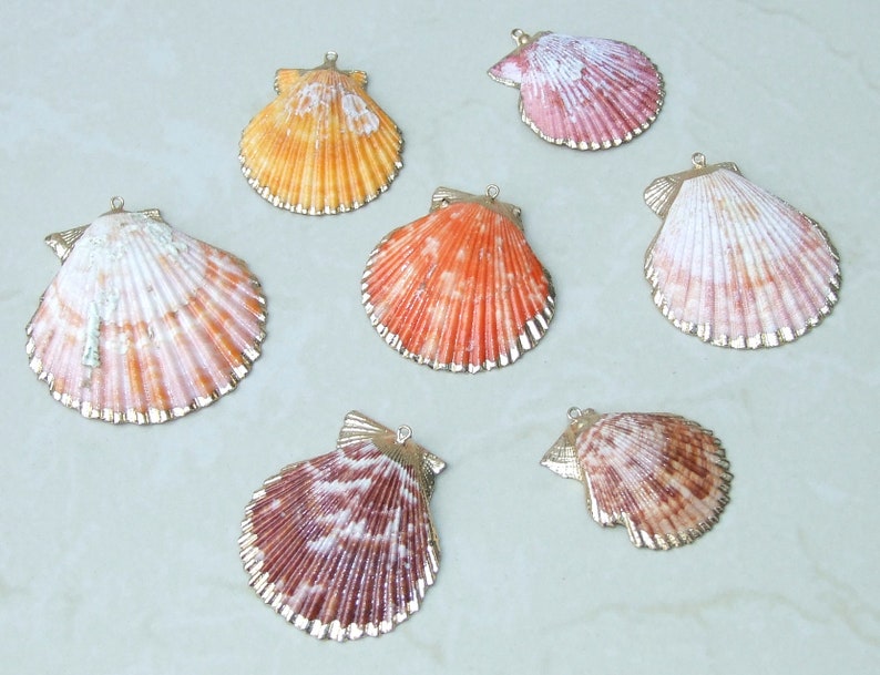 Op de afbeelding: Een verzameling van zeven hangertjes in de vorm van sint-jakobsschelpen. De schelpen hebben verschillende kleuren, waaronder oranje, roze en bruin, met goudkleurige metalen randen. Elke schelp heeft een kleine lus om op te hangen.