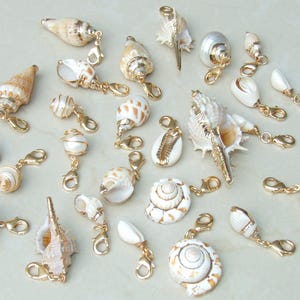 May include: A collection of various natural seashells attached to gold-toned metal lobster claw clasps. The assortment includes spiral, cone, and cowrie shells in shades of white, cream, and tan, each featuring a metallic fastener for attachment.