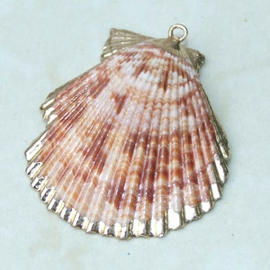Op de afbeelding: Natuurlijke schelpenhanger met een goudkleurige rand. De schelp heeft een waaiervorm met bruine en witte strepen. De bovenkant heeft een kleine lus om aan een ketting te bevestigen. Ideaal voor sieraden met een strandthema.