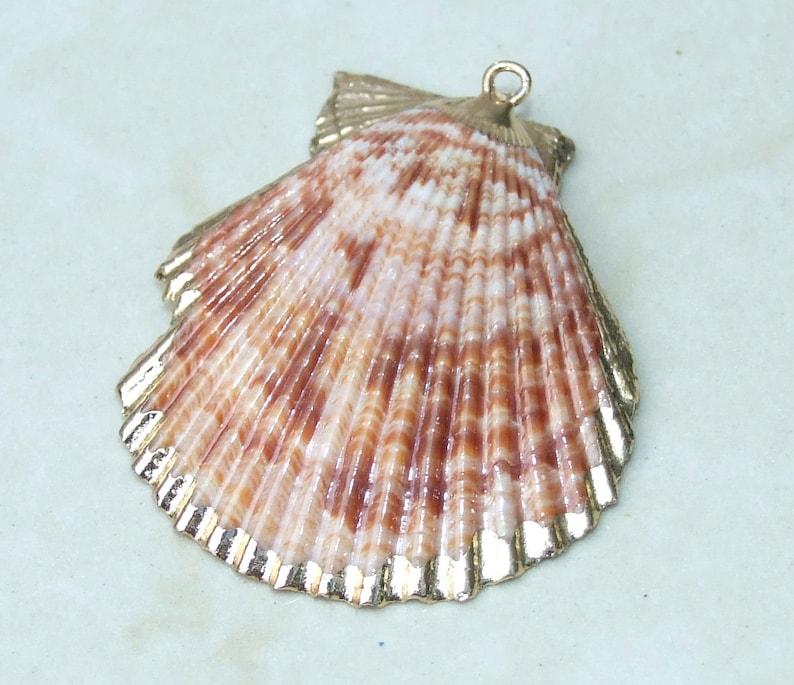 Op de afbeelding: Natuurlijke schelpenhanger met een goudkleurige rand. De schelp heeft een waaiervorm met bruine en witte strepen. De bovenkant heeft een kleine lus om aan een ketting te bevestigen. Ideaal voor sieraden met een strandthema.