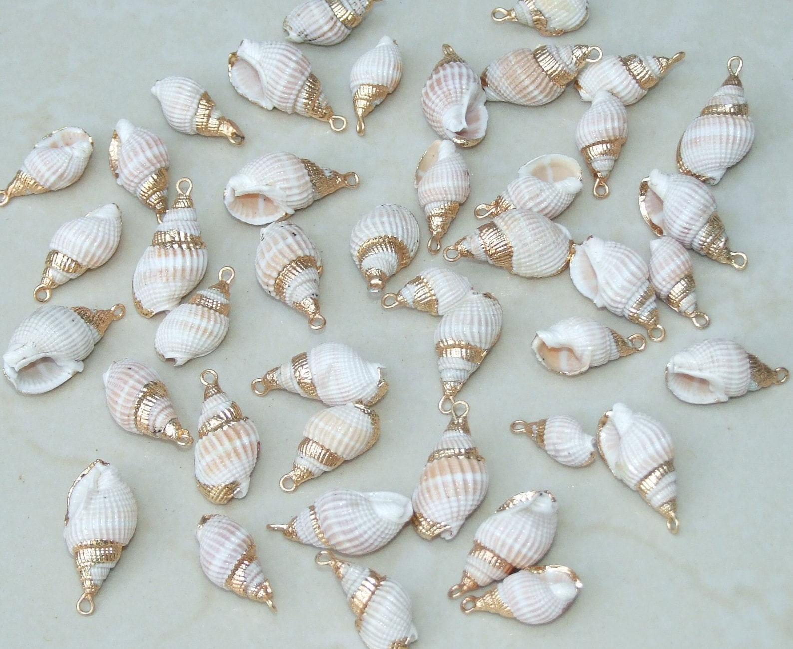 Pair Small Natural Gold Edge Seashell Pendants, Spiral Shell Bead ...