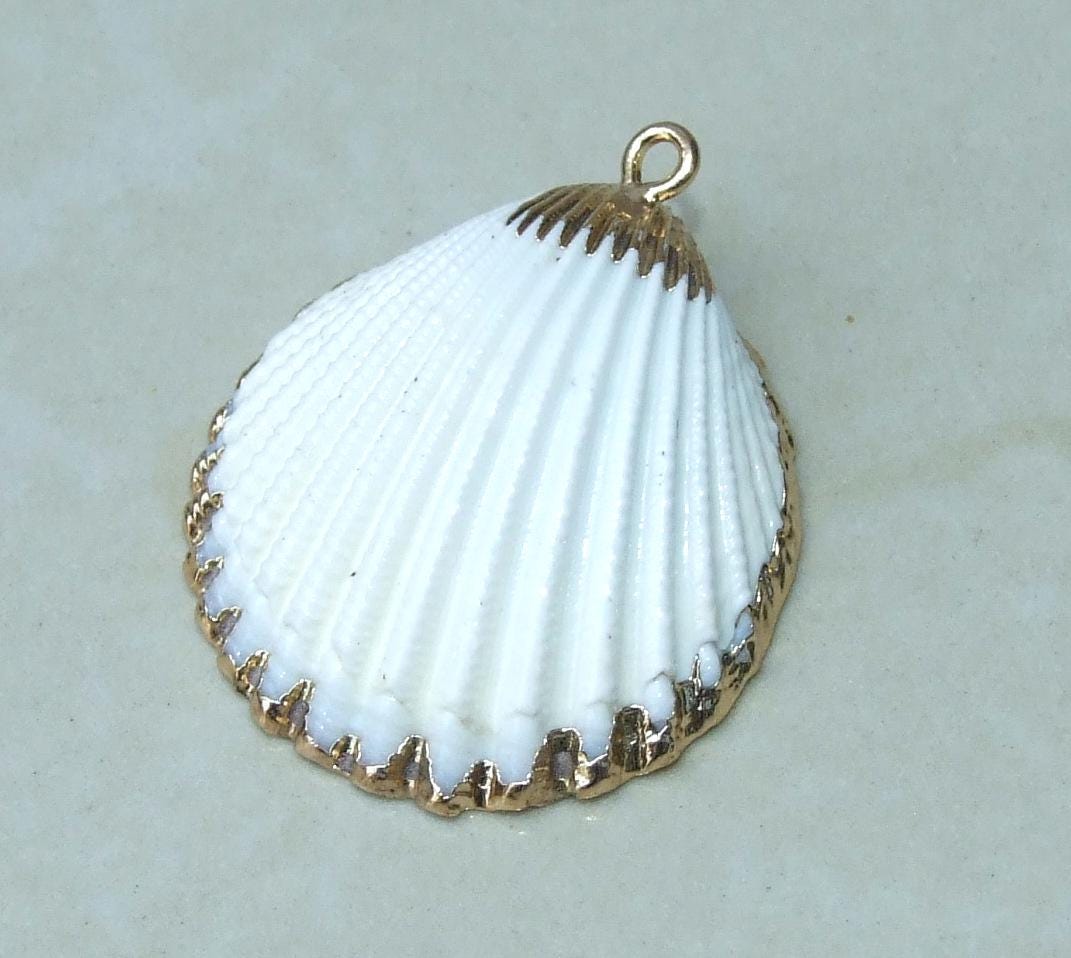 Natural Sea Shell Pendant, Shell Bead, Charm, Clam Shell, Shell Jewelry ...