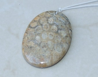 Fossil Coral Agate Pendant, Natural Stone Pendant, Druzy Pendant, Gemstone Pendant, Jewelry Stone, Necklace Pendant, 35mm x 50mm - 9486