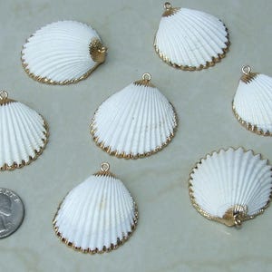 May include: Six white seashell charms with gold trim. The seashells are all the same size and shape, and they have a delicate, feminine look.