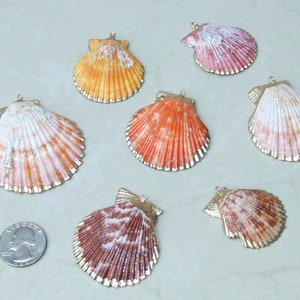 Op de afbeelding: Een verzameling van zeven hangertjes in de vorm van sint-jakobsschelpen met goudkleurige randen. De schelpen vari&euml;ren in kleur, waaronder oranje, roze en wit, en hebben een kleine lus om op te hangen. Een munt is inbegrepen ter referentie.