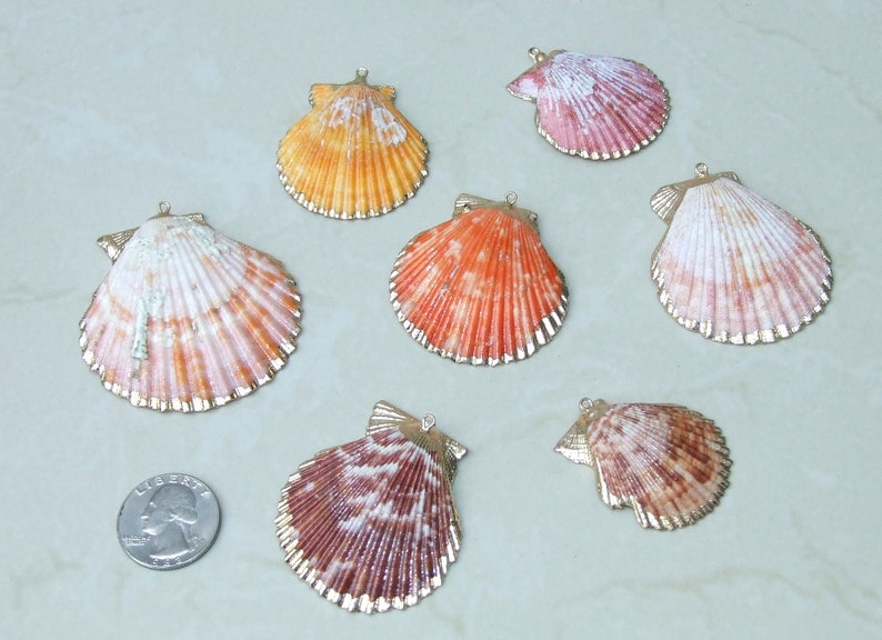 Op de afbeelding: Een verzameling van zeven hangertjes in de vorm van sint-jakobsschelpen met goudkleurige randen. De schelpen vari&euml;ren in kleur, waaronder oranje, roze en wit, en hebben een kleine lus om op te hangen. Een munt is inbegrepen ter referentie.