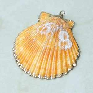Op de afbeelding: Decoratieve schelpenhanger met een goudkleurige rand. De schelp heeft een warme oranje kleur met witte accenten. De hanger heeft een kleine lus aan de bovenkant om op te hangen.
