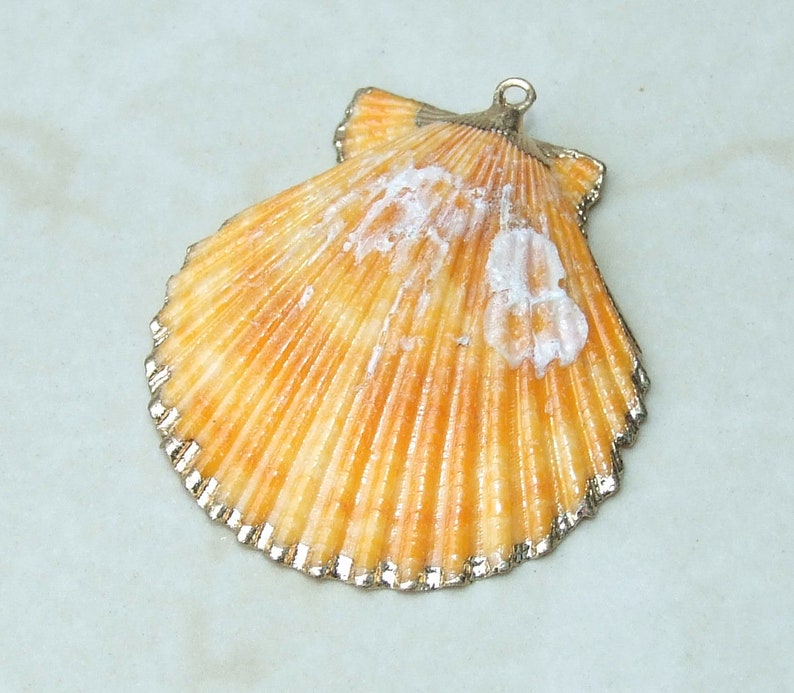 Op de afbeelding: Decoratieve schelpenhanger met een goudkleurige rand. De schelp heeft een warme oranje kleur met witte accenten. De hanger heeft een kleine lus aan de bovenkant om op te hangen.