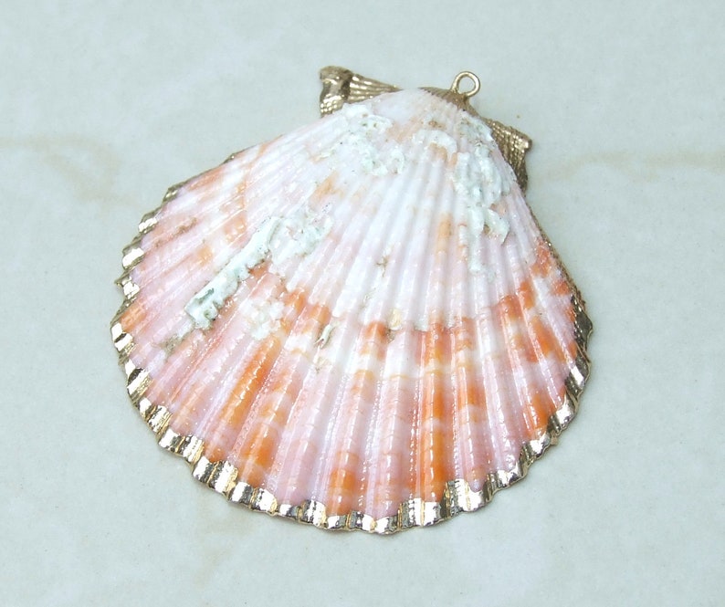 Op de afbeelding: Een schelpenhanger met een goudkleurige rand. De schelp is lichtroze met oranje en witte accenten. De hanger heeft een kleine lus aan de bovenkant om op te hangen.