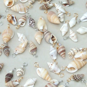 May include: A collection of seashells with gold-colored metal rings attached. The shells are various shapes and sizes, with some having brown, white, and black patterns.