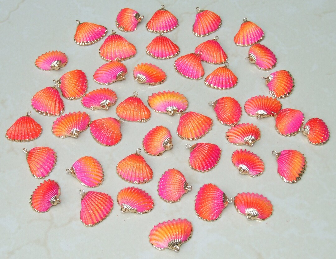 Small Gold Edge Natural Seashell, Sea Shell Pendant, Clam Shell, Shell ...