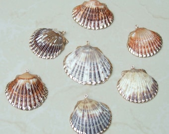 Natural Scallop Shell Pendant, Gold Edge, Deep Sea Shell, Shell Necklace, Beach Jewelry, Ocean Seashell, Medium, Large, In Three Colors, NB