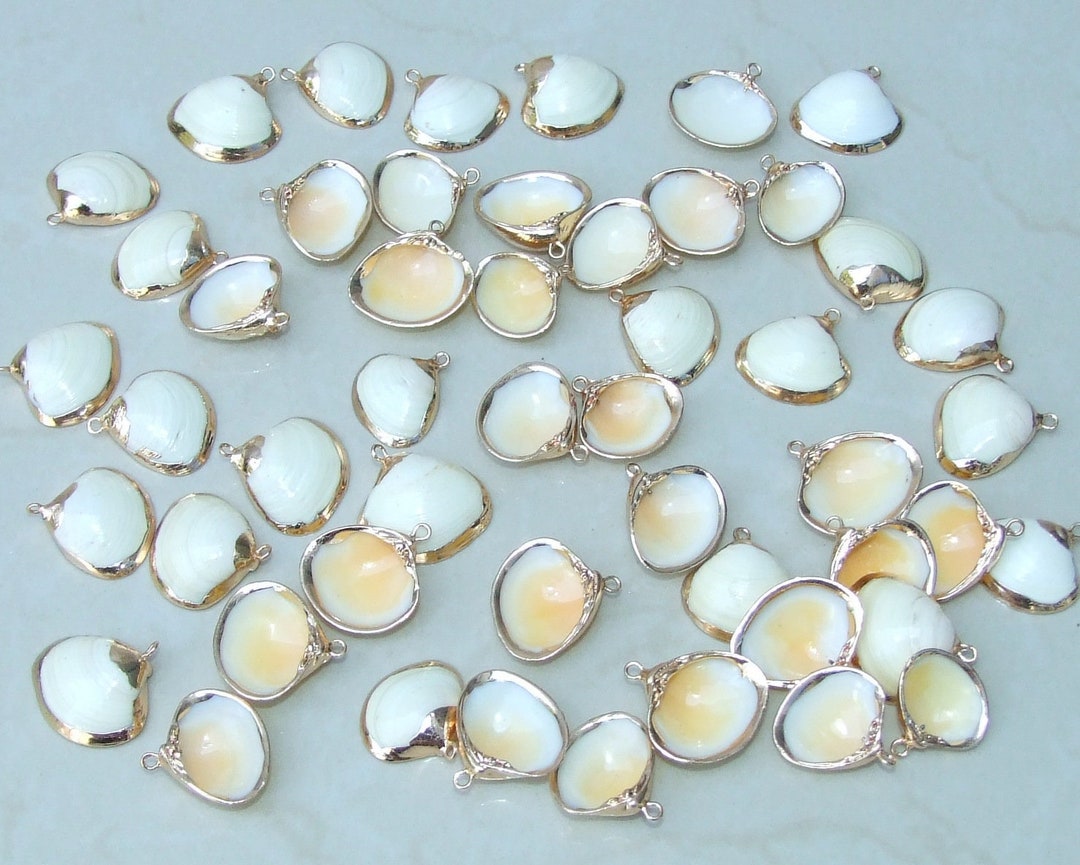 Pair of Small Clam Shell Pendant, Gold Edge Loop, Natural Seashell ...