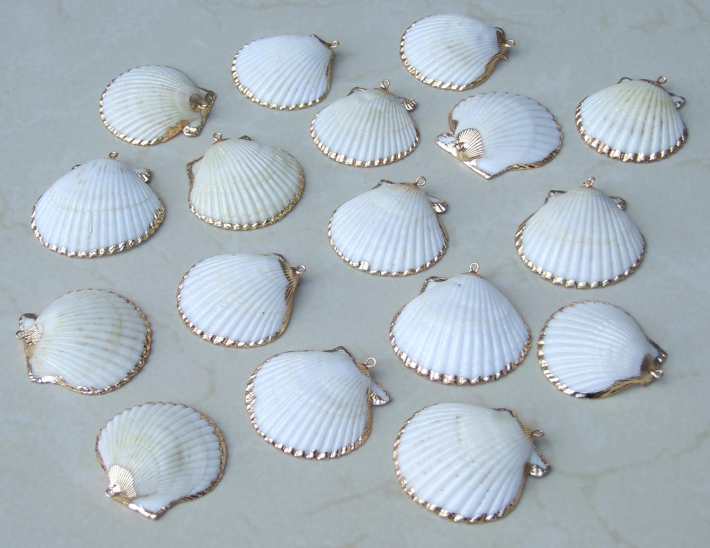 Natural Sea Shell Pendant, Seashell Bead, Shell Pendant, Charm, Clam Shell, Shell Jewelry, Beach Jewelry, White and Gold - 30-55mm - 61-05