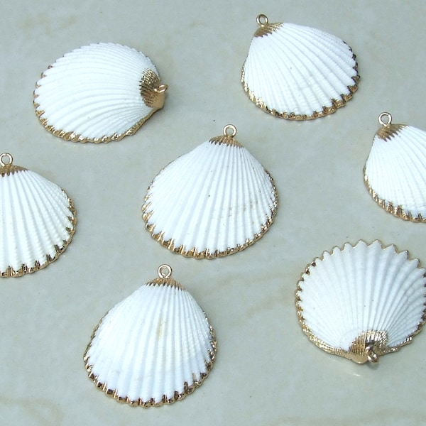 Natural Sea Shell Pendant, Seashell Bead, Shell Pendant, Charm, Clam Shell, Shell Jewelry, Beach Jewelry, White and Gold - 35-40mm - 61-05