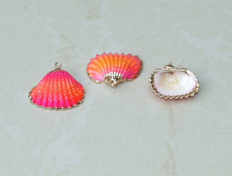 Small Gold Edge Natural Seashell, Sea Shell Pendant, Clam Shell, Shell ...