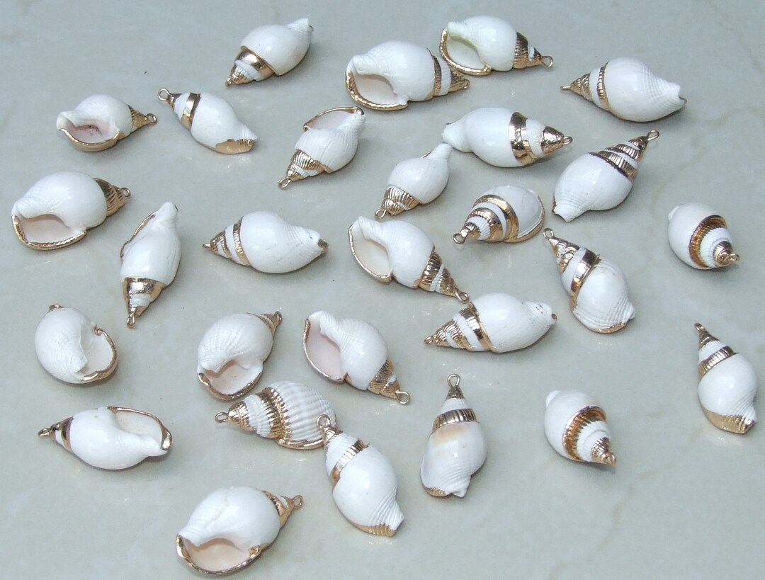 Small Gold Edge Natural Sea Shell Pendant, Spiral Shell Bead, Seashell ...