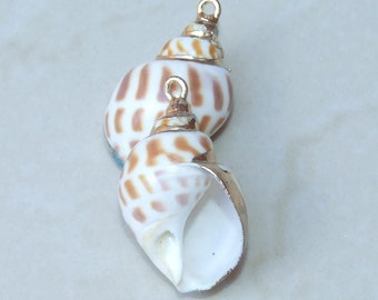 Natural Babylonia Areolata Spiral Seashell Pendant, Shell Bead, Seashell, Shell Pendant, Gold Edge, Natural Shell, Boho, Beach, 29mm & 35mm