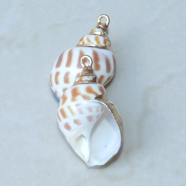 Natural Babylonia Areolata Spiral Seashell Pendant, Shell Bead, Seashell, Shell Pendant, Gold Edge, Natural Shell, Boho, Beach, 29mm & 35mm