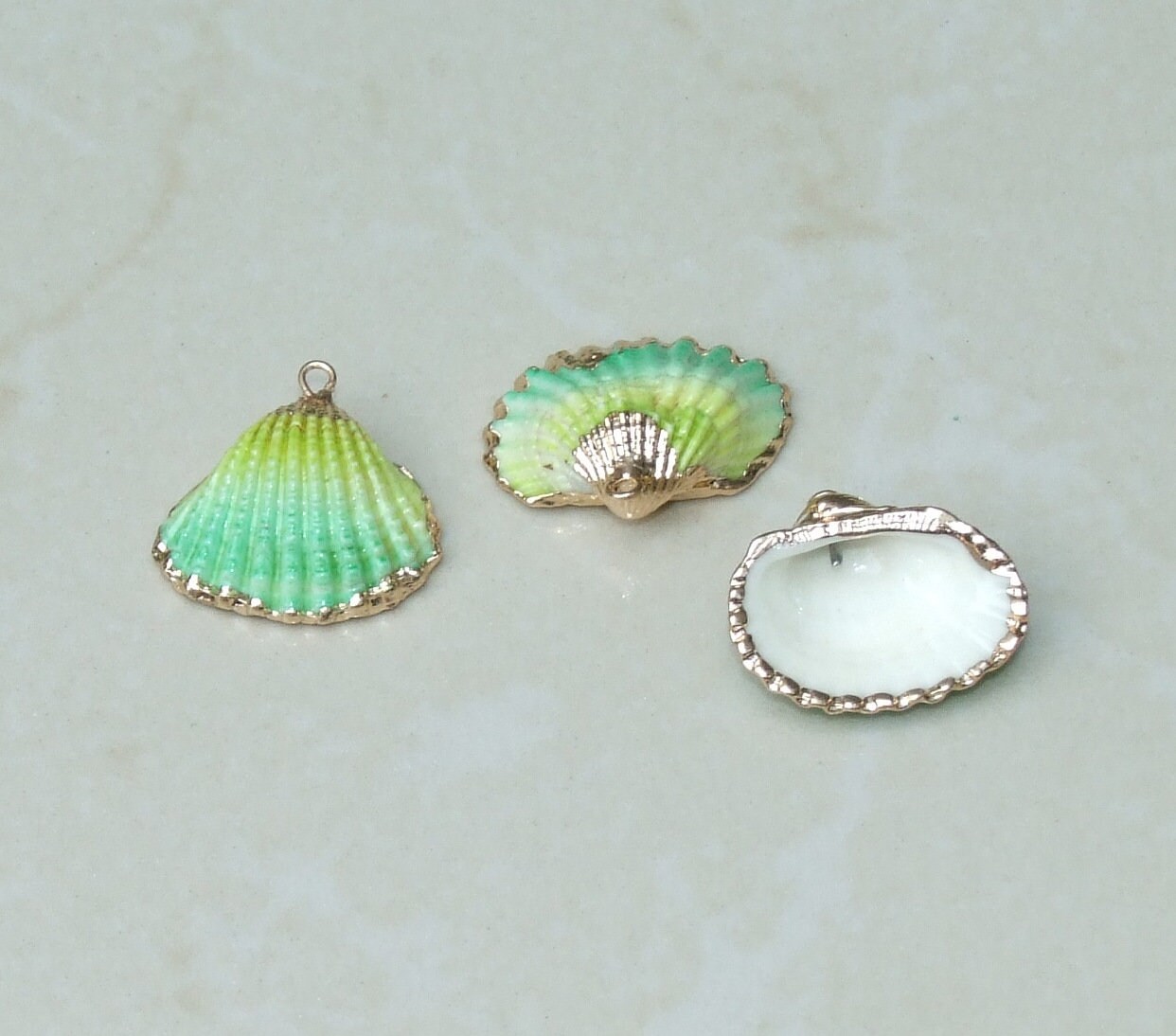 Small Gold Edge Natural Seashell, Sea Shell Pendant, Clam Shell, Shell ...