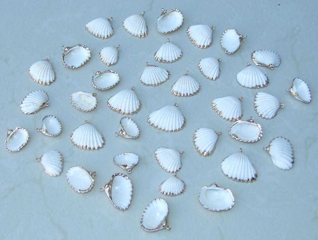 Small Gold Edge Natural Seashell, Sea Shell Pendant, Clam Shell