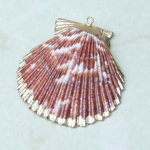 Op de afbeelding: Een decoratieve schelpenhanger met een goudkleurige rand. De schelp heeft een patroon van roodbruine en witte strepen. De hanger heeft een kleine lus aan de bovenkant om op te hangen.